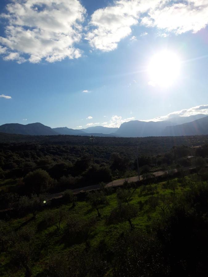 Casa Toloi Διαμέρισμα Dorgali Εξωτερικό φωτογραφία